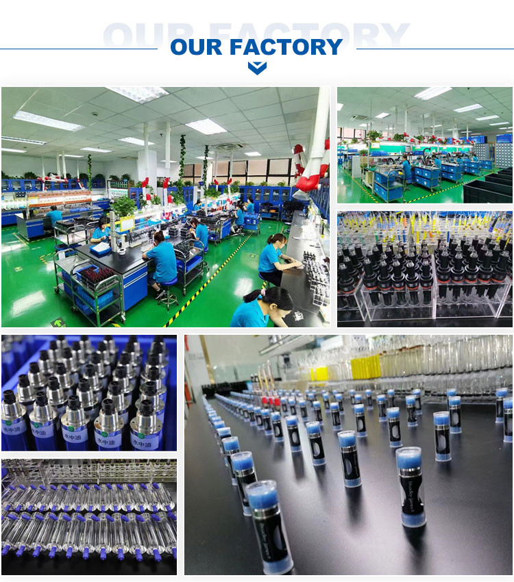 China Henan Bingsheng Industrial Co., Ltd. Perfil de la compañía