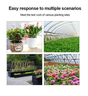 Cuidado de las plantas en interiores y exteriores hecho fácil con nuestro monitor de agua de la planta Obtener lecturas precisas