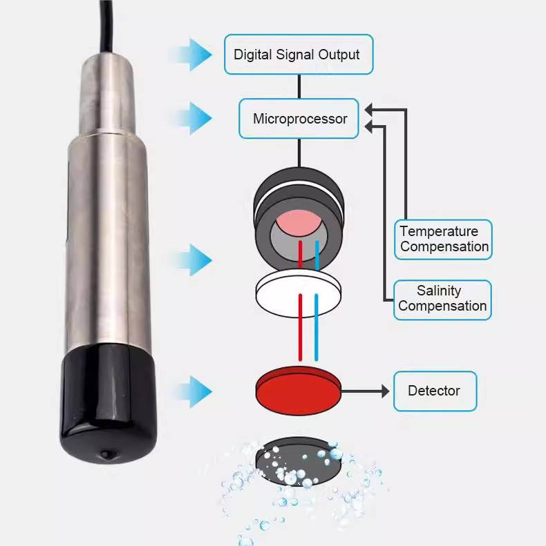 IP68 DO Sensor de medición medidor sonda para medición precisa del oxígeno disuelto en agua